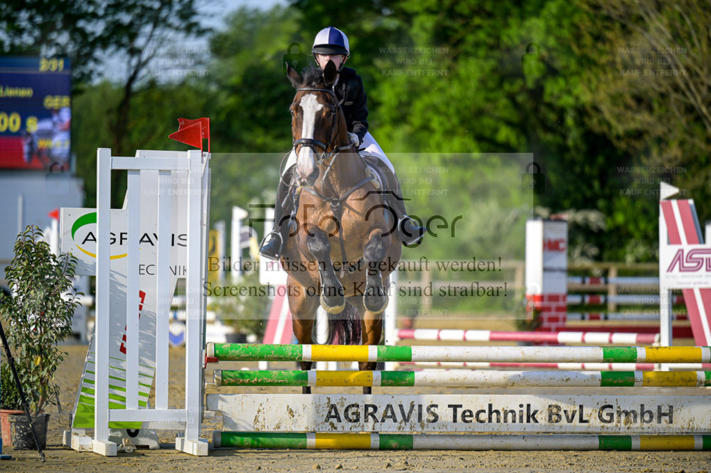 Reitturnier Lienen | Entdecke hochwertige Reitturnierfotos von Foto Oger. Professionell, emotional und authentisch – jetzt Lieblingsmomente im Shop bestellen. - Realisiert mit Pictrs.com