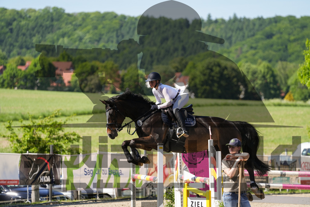 DSC02400 | Julian Held Fotografie - Realisiert mit Pictrs.com