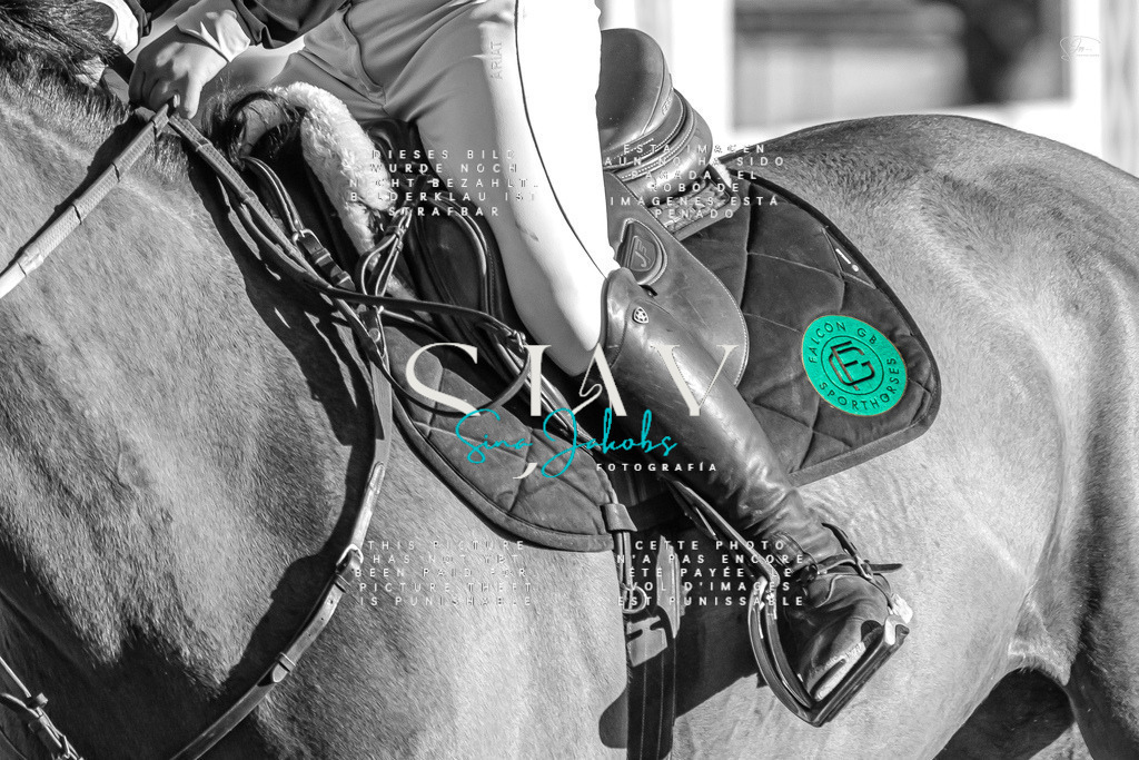 IMG_2586 | s-jay-photography - Realisiert mit Pictrs.com