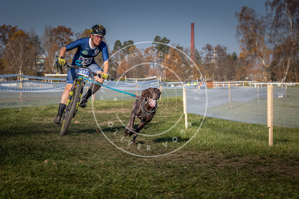 CaniXpix_0L8A6558 | Hundefotografie, Tierfotograf, Pfotenfotografie, Fotoshooting Hund, Hunde Portrait, Hundesport, Hundeportraits, Heideshooting, Hunde, Sportfotograf, Hundefotograf, Turnierhundsport, THS,  - Realisiert mit Pictrs.com