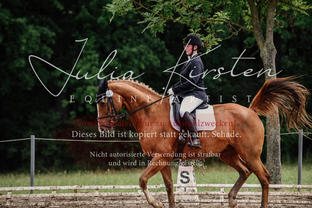 DSC_0673 | Pferde- und Turnierfotografie in Westsachsen. Pferdeportraits, Auftragszeichnungen und intuitive Kunst.