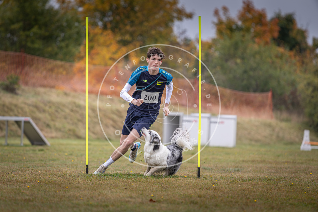 Pfotenfotografie_DV3A1236 | Hundefotografie, Tierfotograf, Pfotenfotografie, Fotoshooting Hund, Hunde Portrait, Hundesport, Hundeportraits, Heideshooting, Hunde, Sportfotograf, Hundefotograf, Turnierhundsport, THS,  - Realisiert mit Pictrs.com