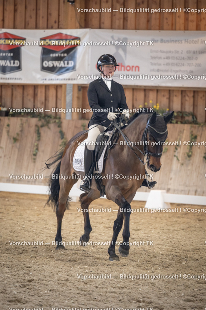 _D5A1733 | Emotionale Pferde- & People-Fotografie rund um Heidelberg, Leimen & Umgebung. Natürliche Fotos von Pferd, Mensch & Familie. Jetzt Termin sichern!