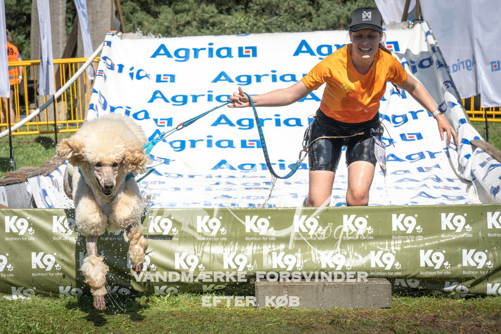 1447_ZZ95941 | kk-dogfotos