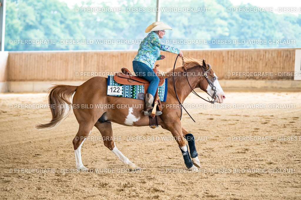 DSC06676 | Pferdegrafie