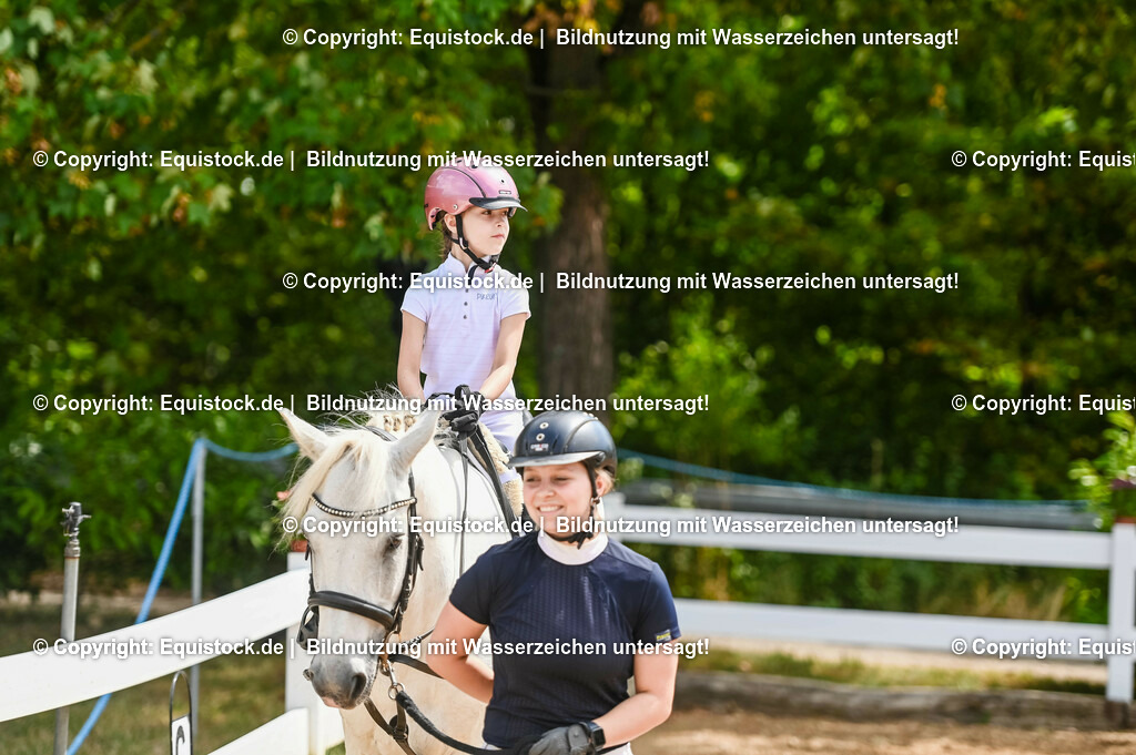 20230716_11_Führzügel-WB_0181 | equistock