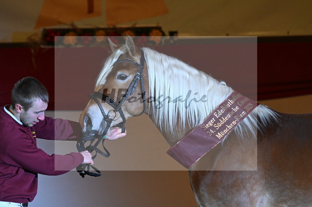 Stavaro_3262755 | hf-fotografie - Realisiert mit Pictrs.com