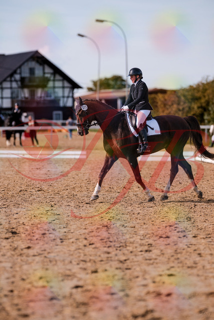 2026_10_03_Siefer-Hof_132607_Z81_78950036 | Professionelle Reitsport-, Turnier- und Eventfotografie von Robert Broda. Galerien mit ausgewählten und bearbeiteten Bildern direkt online ansehen und bestellen.