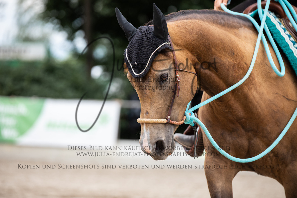 20220624-JuliaEndrejatPhotography-1475 | Julia Endrejat Photography