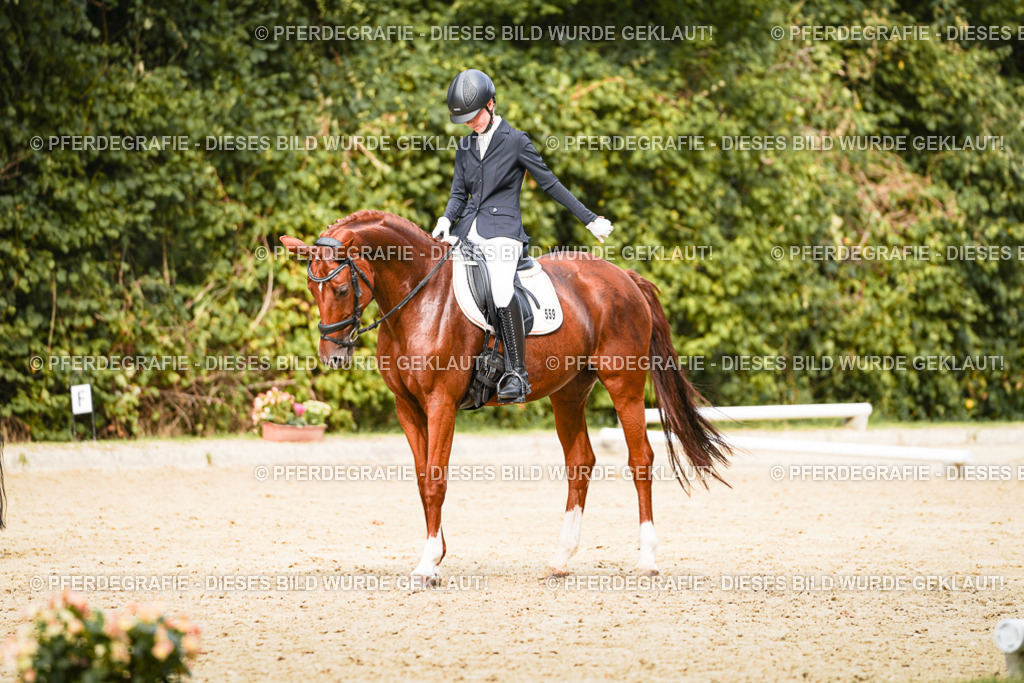 DSC03598 | Pferdegrafie