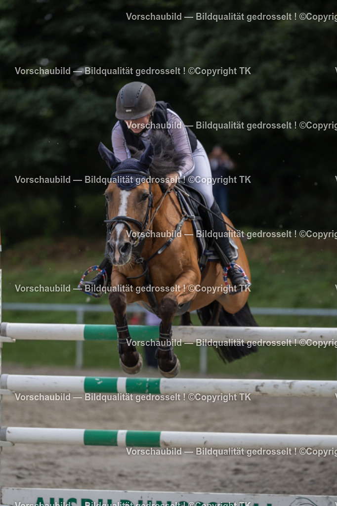 _D5A1559 | Emotionale Pferde- & People-Fotografie rund um Heidelberg, Leimen & Umgebung. Natürliche Fotos von Pferd, Mensch & Familie. Jetzt Termin sichern!