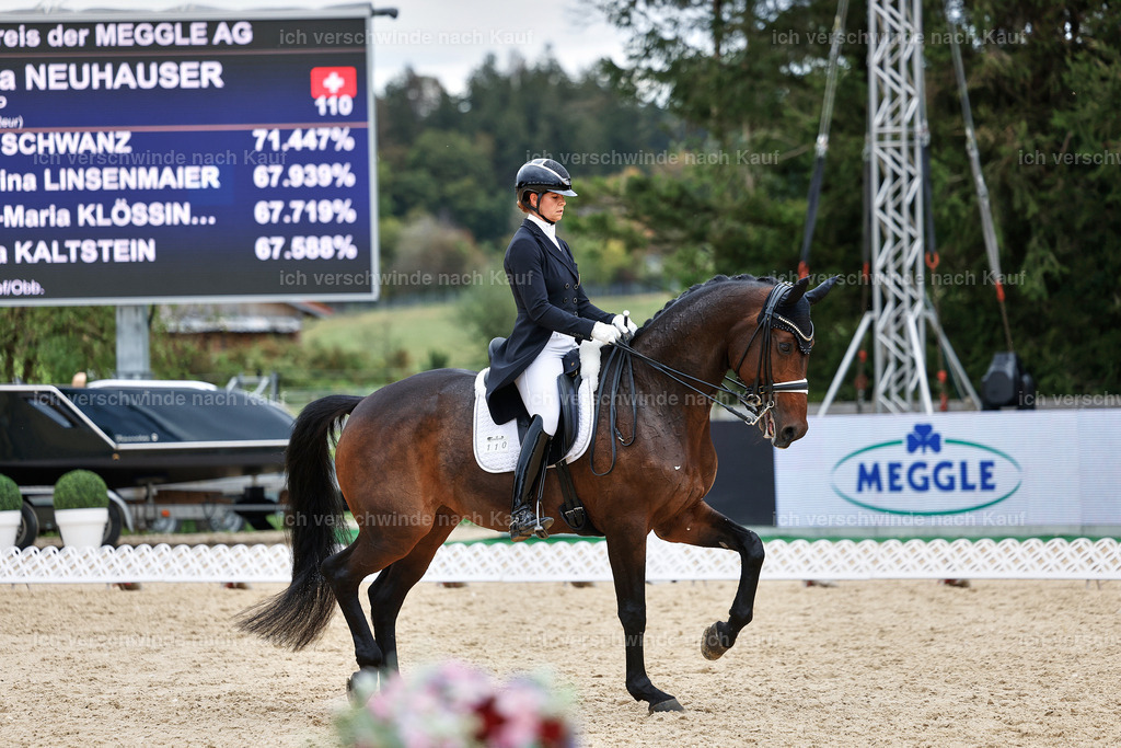 11-110-Dressur S___-StoibPH-1378 | working equitationturnier fotograf videograf stoibphotography marixx film working equitation deutschland reitsport turnierfotografie eventfotografie equestrian events