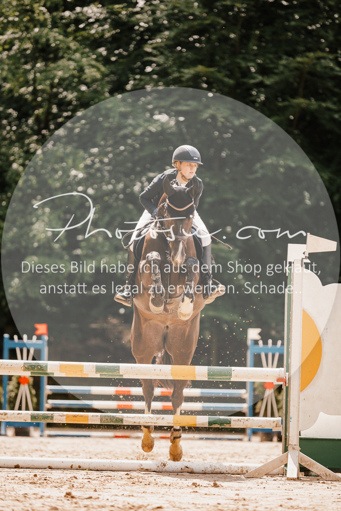 3I6A2332 | Stimmungsvolle Portraits und Reitsportfotografie im Ruhrgebiet und im Münsterland.

Pferdefotografie, Hundefotografie, Tierfotografie, Reportagen, Portraits von Tier und Mensch, Turnierfotografie in Bochum, Recklinghausen, Marl, Haltern am See, Dülmen.. - Realisiert mit Pictrs.com