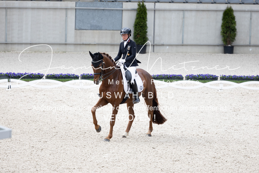 126A1795 | jasminmetznerfotografie