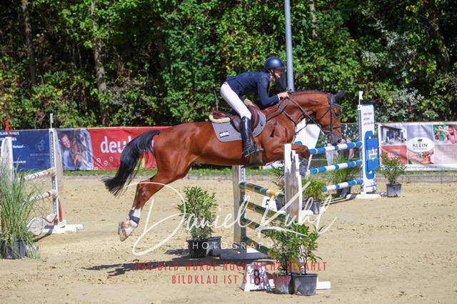 DKP43222 | Deine Turnierfotos vom Reitturnier online kaufen: Dressur, Springen & Siegerehrung. Professionelle Pferdefotografie aus dem Rheinland – als Download & Print.Alternative: Turnierfotograf für den Pferdesport: Finde deine Fotos von Dressur- und Springturnier