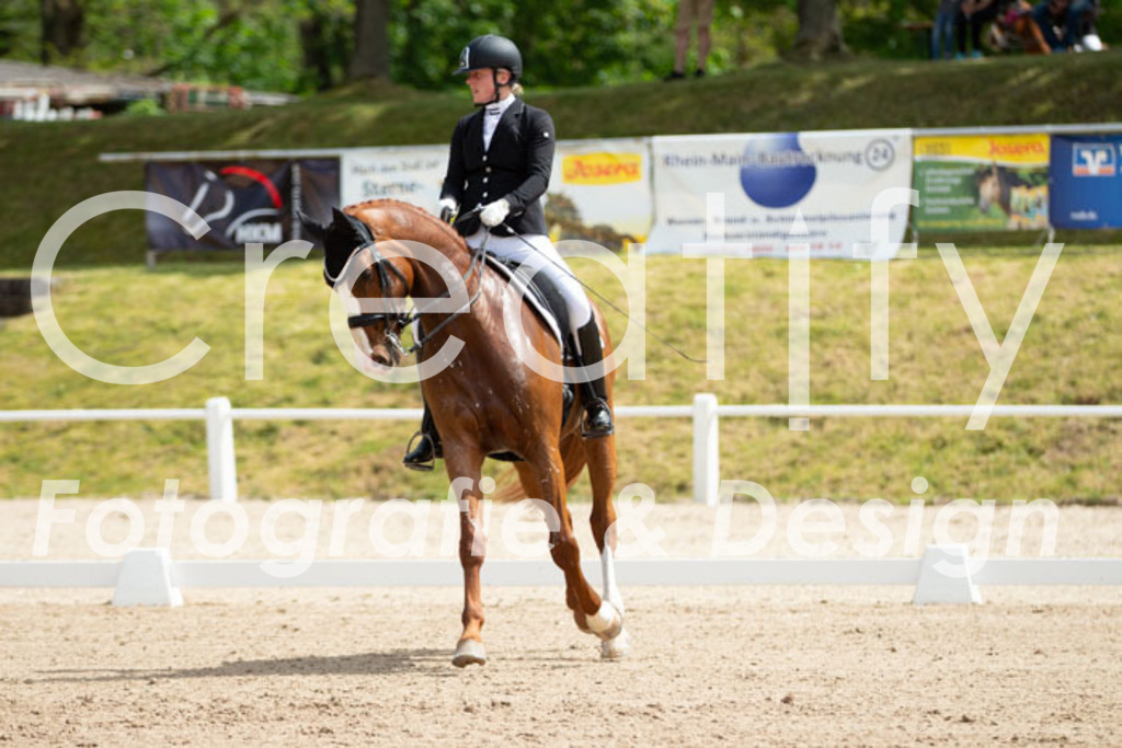 IMG_6434 | Creatify Fotografie