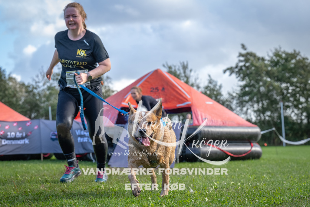 1253-90045 | kk-dogfotos