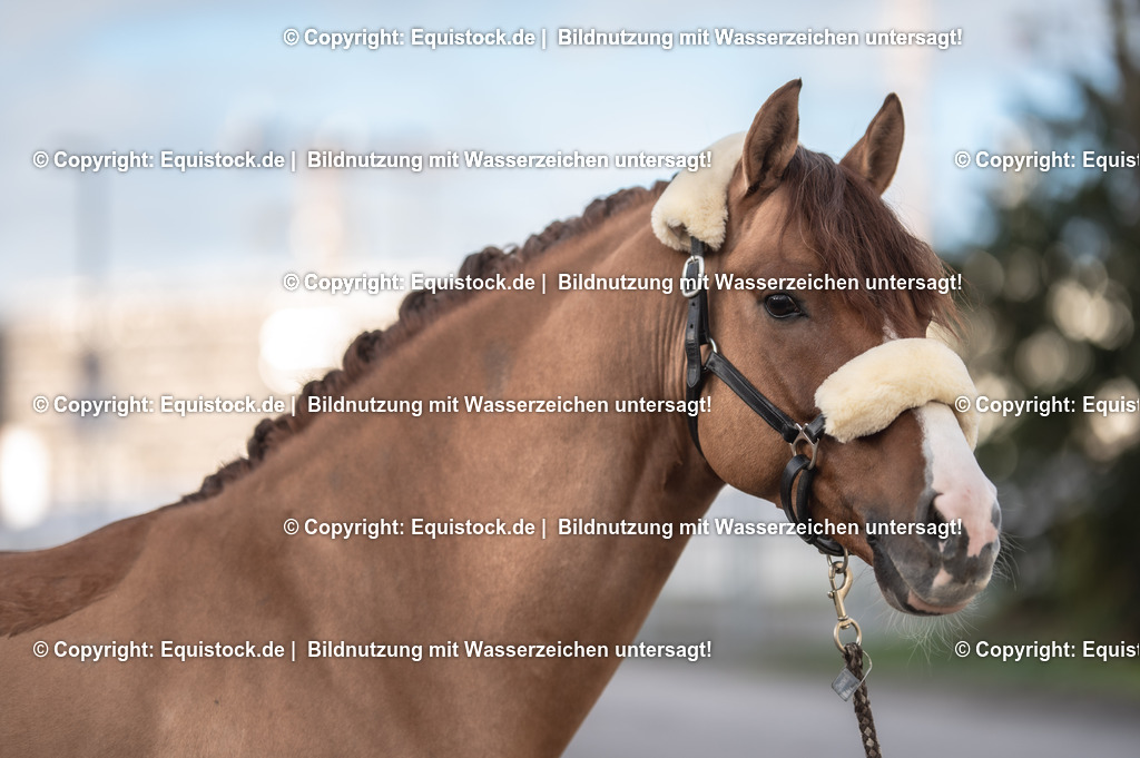 20231115_Ann-Cathrin-Rieg_und_Derrick_0025_TOMsPiC | Foto: Thomas Hartig