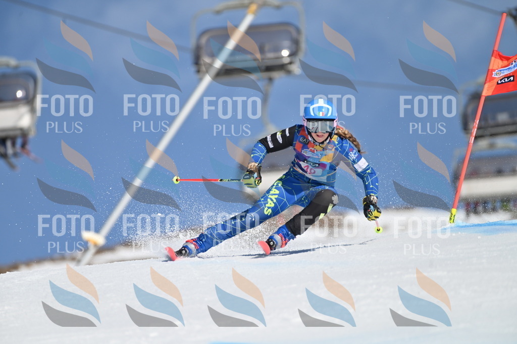 BGV_8512 | holidayphoto