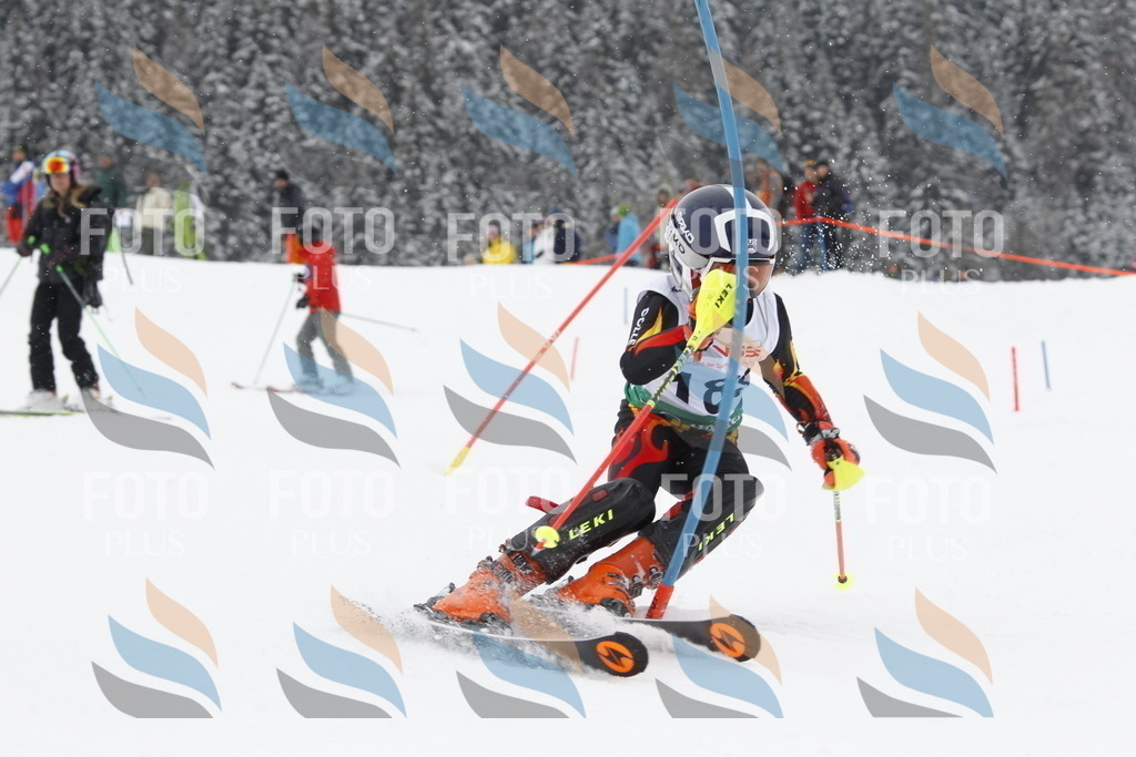 A2162 | holidayphoto