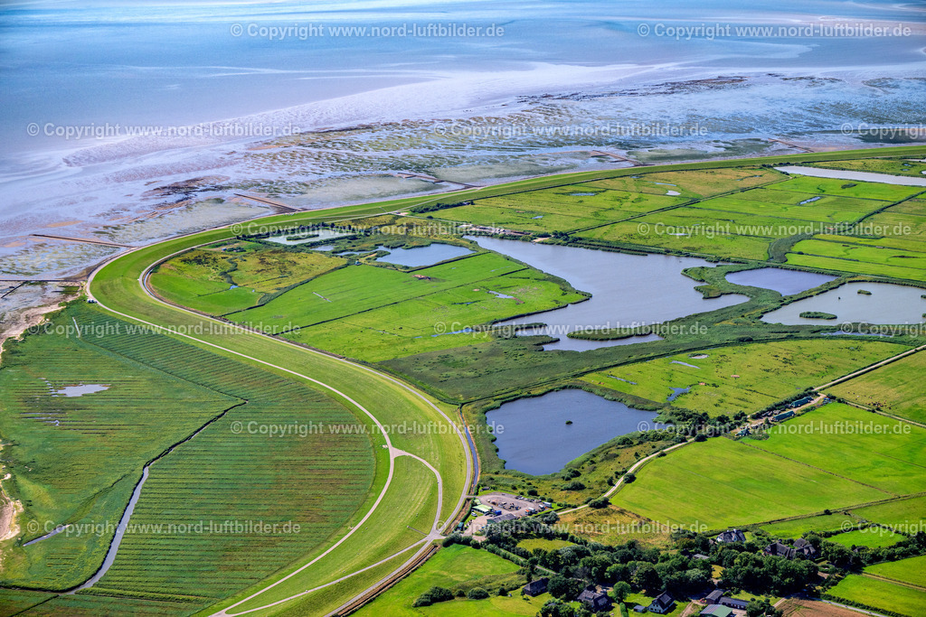 Sylt_Morsum_Südostseite_Deich_Wattenmeer_ELS_5068130825 | SYLT 13.08.2025 Küsten- Landschaft mit Deich- Schutzstreifen an der Straße Muasem Dikwai in Sylt Nordsee - Insel im Bundesland Schleswig-Holstein, Deutschland. // Coastline with dike protection strips on street Muasem Dikwai in Sylt North Sea Island in the state Schleswig-Holstein, Germany. Foto: Martin Elsen