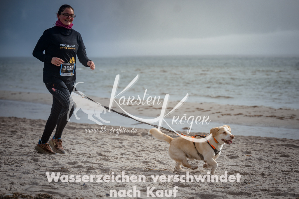 1117_ZZ97623 | kk-dogfotos