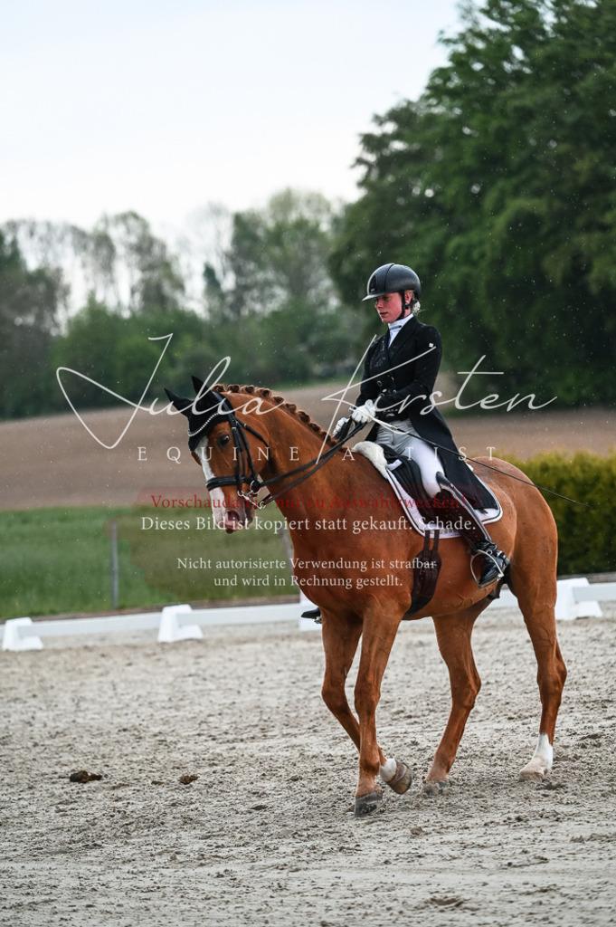 20230514_JK-Röhrsdorf-21-671 | Pferde- und Turnierfotografie in Westsachsen. Pferdeportraits, Auftragszeichnungen und intuitive Kunst.