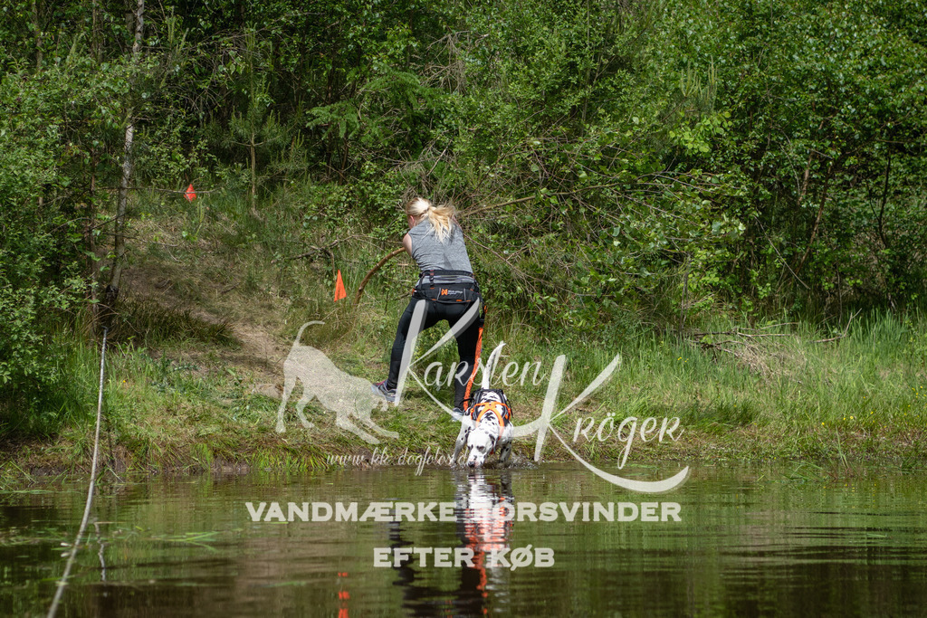 1203DKK991610 | kk-dogfotos