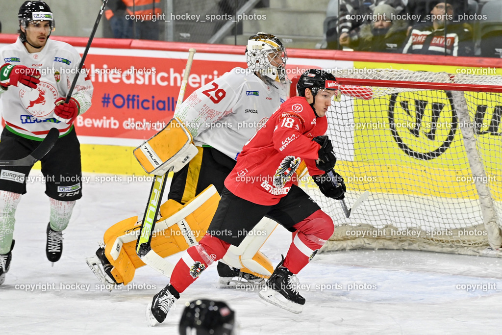 Österreich vs. Ungarn 14.12.2023 | Österreich vs. Ungarn 14.12.2023, Österreich vs. Ungarn  am 14.12.2023 in Klagenfurt (Heidi Horten Arena), Austria, (Photo by Bernd Stefan)
