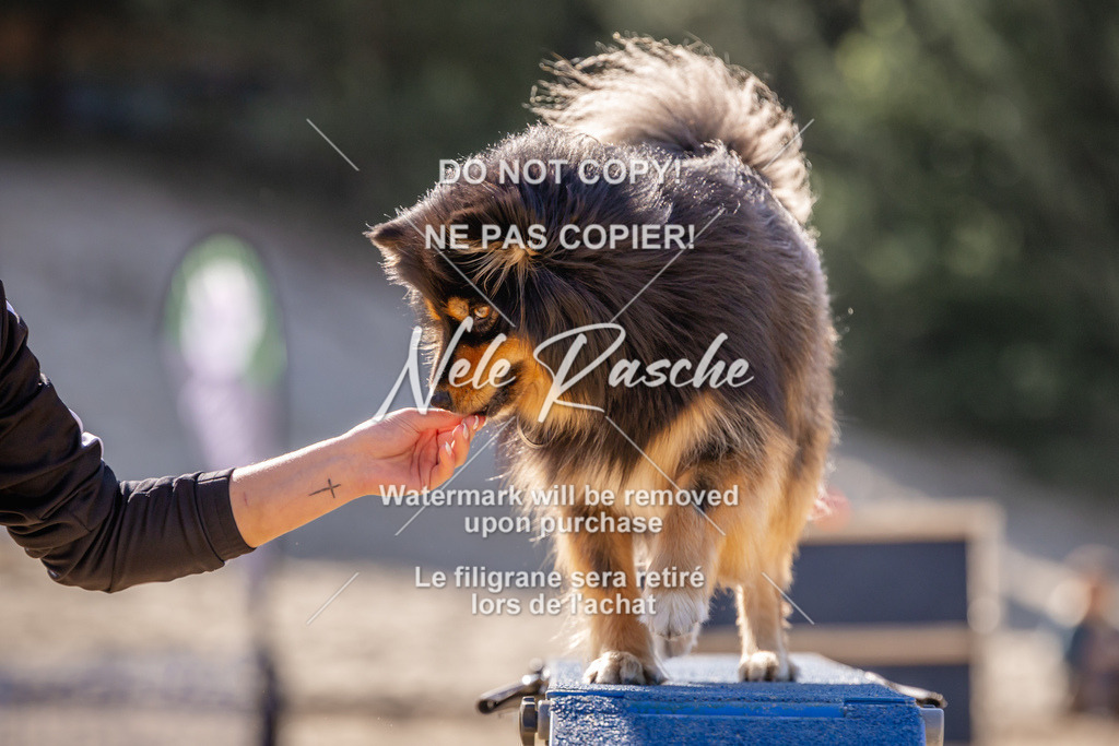NR__0633 | nelerasche