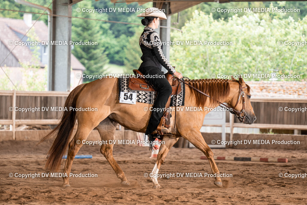 Erbach Tag 1-596 | dv-media-shop - Realisiert mit Pictrs.com