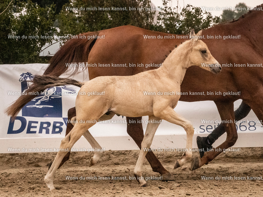 A10I1787 15.54.45 | photographylinaismer - Realisiert mit Pictrs.com