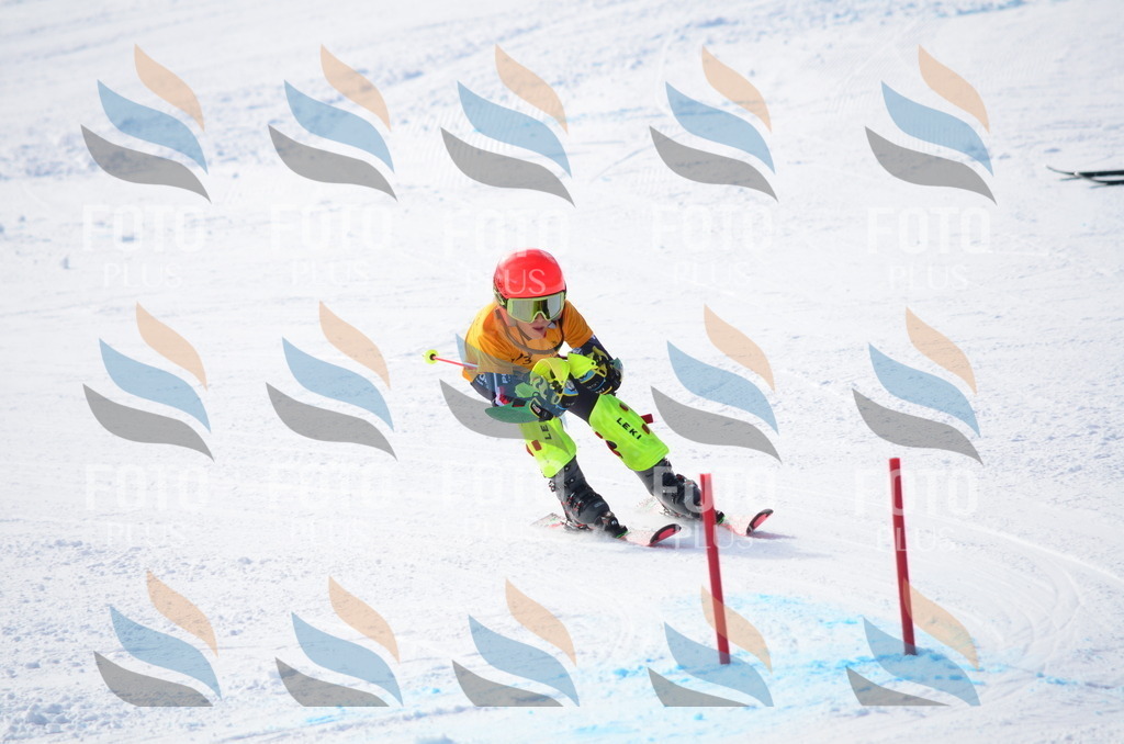 C8754 | holidayphoto