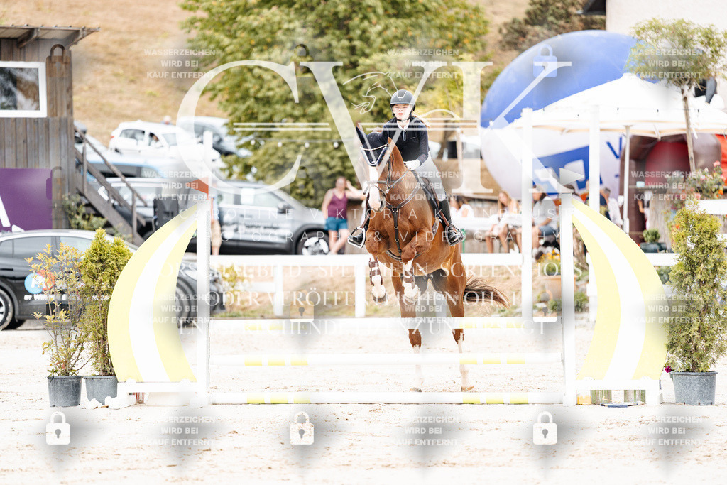 CK907915 | Turnierfotografie Pferdefotografie Trier Rheinland-Pfalz Pferdesport Reitsport Tierfotografie Sportfotografie Pferdevideo Pferdevideografie Equestrianvideography equestrianphotography  - Realisiert mit Pictrs.com