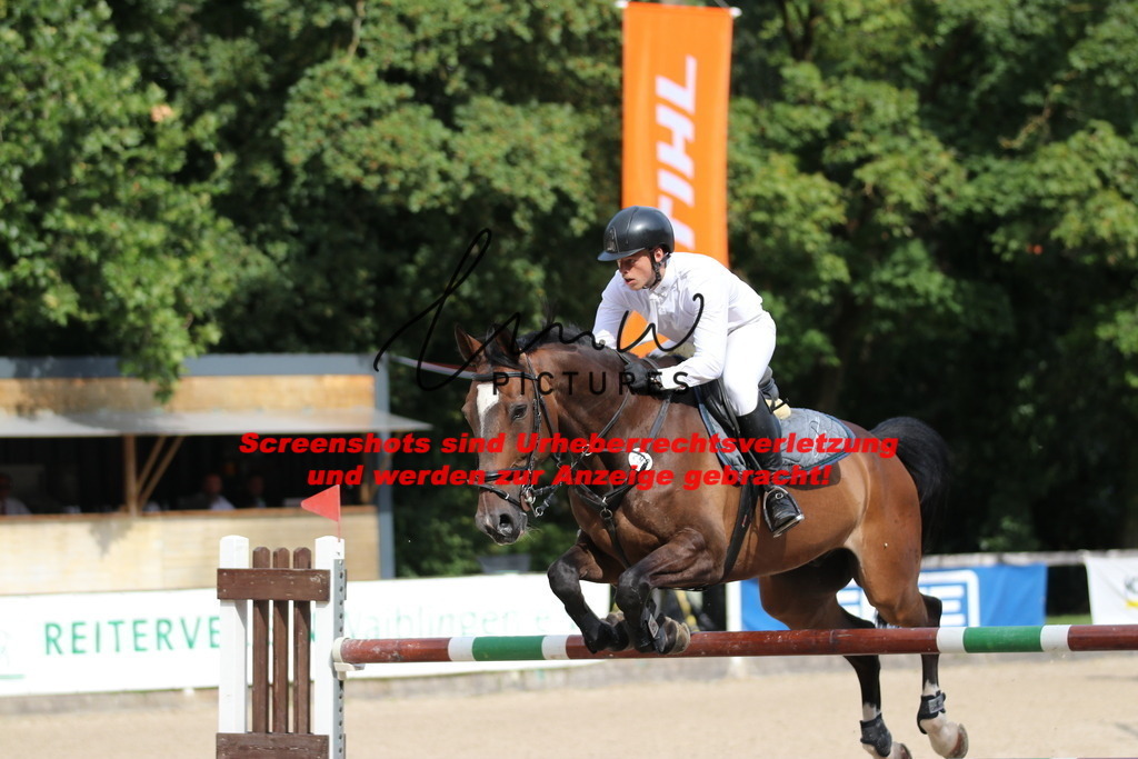 IMG_0784 | lmwpictures - Realisiert mit Pictrs.com