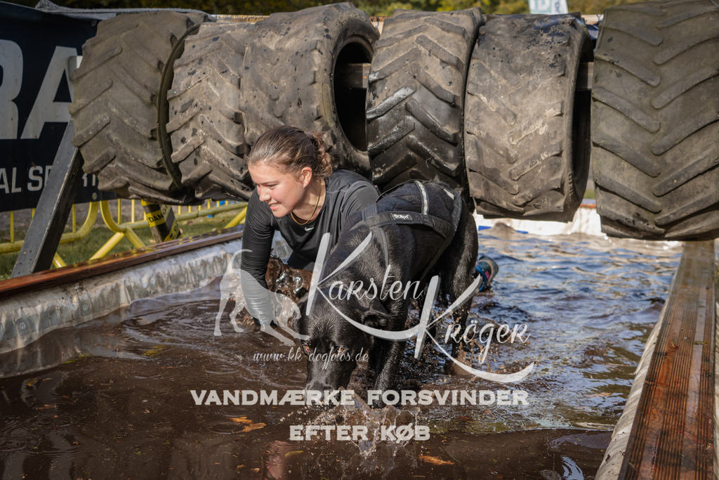 1406_ZZ93989 | kk-dogfotos