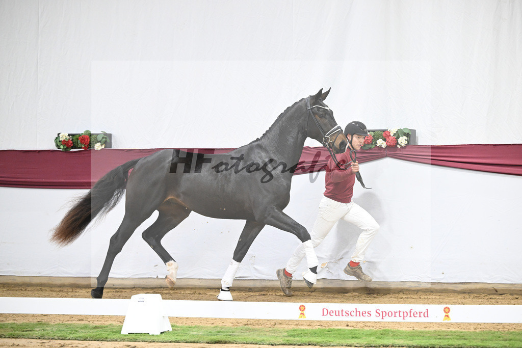 Kat-Nr. 31 In My Mind x Fidertanz_Uwe Kraft_47251044 | hf-fotografie - Realisiert mit Pictrs.com