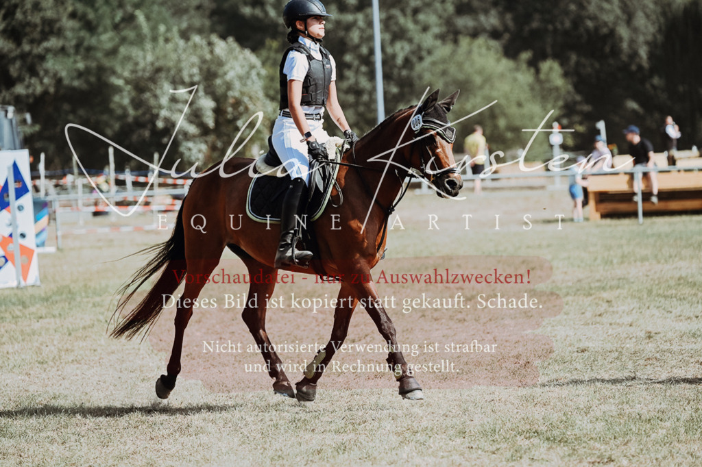DSC_9422 | Pferde- und Turnierfotografie in Westsachsen. Pferdeportraits, Auftragszeichnungen und intuitive Kunst.