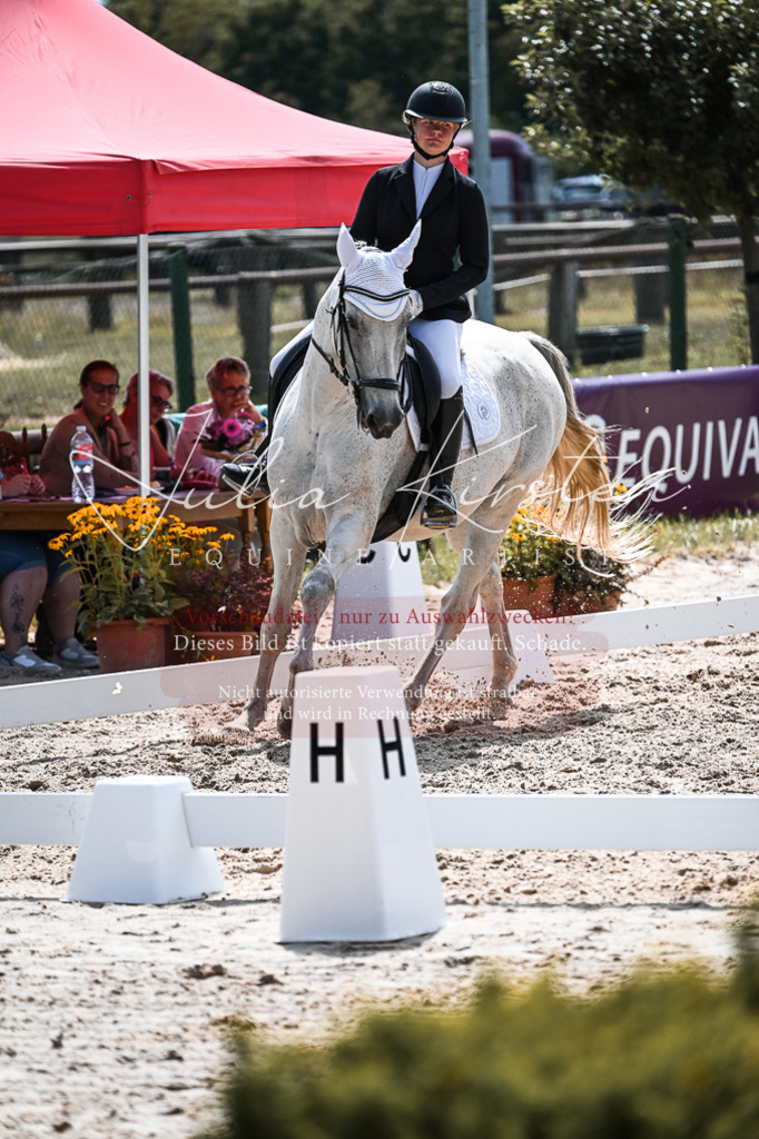 DSC_5314 | Pferde- und Turnierfotografie in Westsachsen. Pferdeportraits, Auftragszeichnungen und intuitive Kunst.
