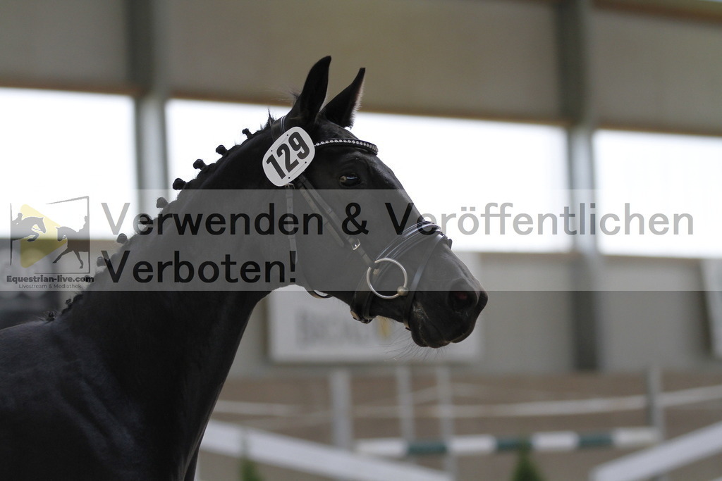_MG_9854 | equestrian-live-com