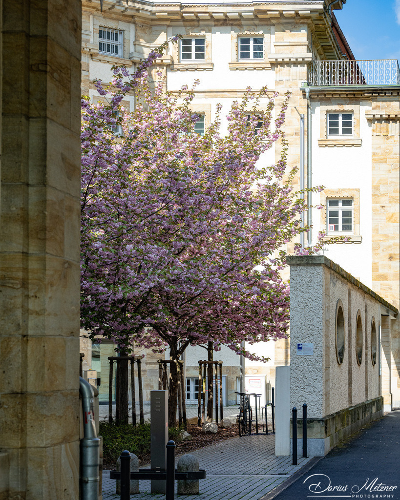 Das alte Gefängnis in Mainz | Das alte Gefängnis in Mainz