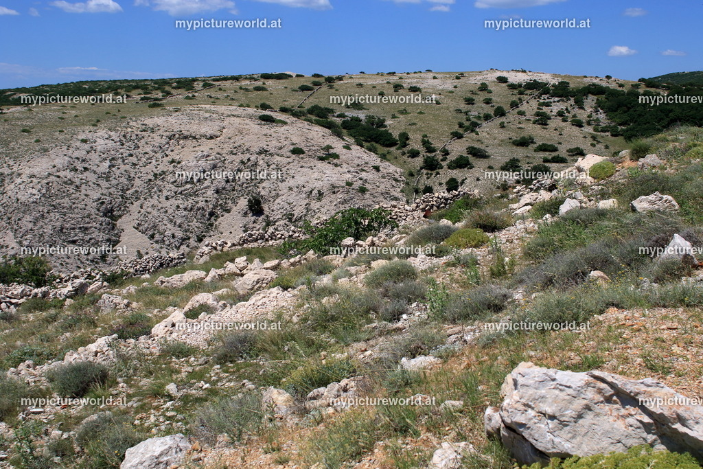 Stara Baska-003 | Das Bilderarchiv über Tiere, Planzen und Landschaften. In der Bilddatenbank finden Sie ein große Auswahl an hochwertigen Bilder für Ihre Werbung - Realized with Pictrs.com