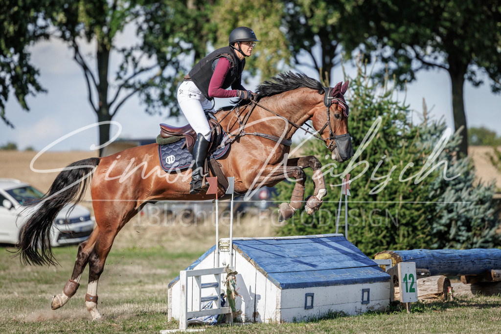 20260905-_3LI0391 | Tierfotografie Pferde, Hunde, Katzen, Haustiere.
Turnierfotografie Reitturniere, Reiten, Springreiten, Dressur in Hanau, dem Main-Kinzig-Kreis und dem Rhein-Main- Gebiet um Frankfurt