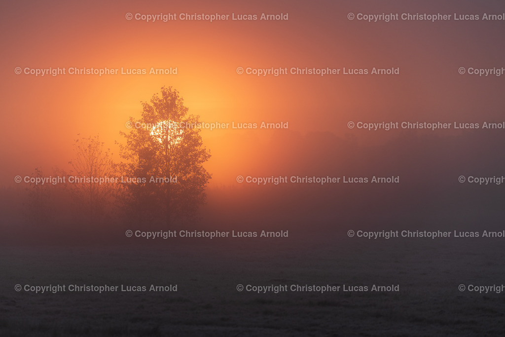 Sonnenaufgang im Spreewald | bildkomponist - Realisiert mit Pictrs.com