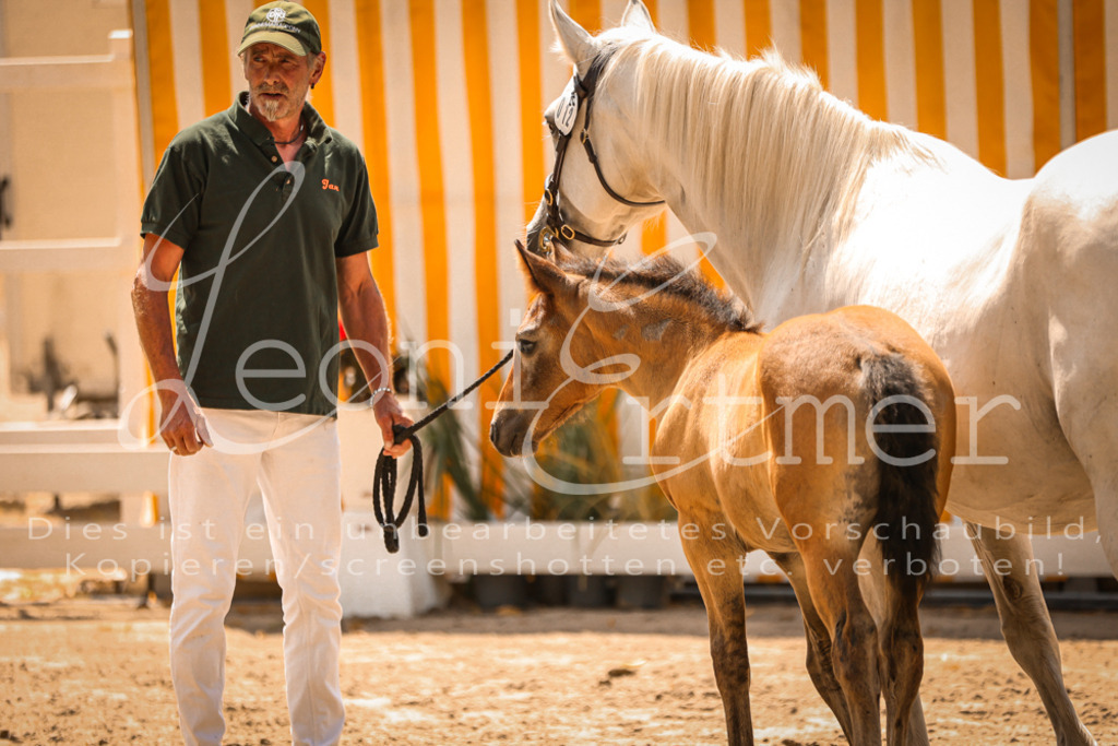 02.DoSR00145 | Leoni Ertmer Photography - Realisiert mit Pictrs.com