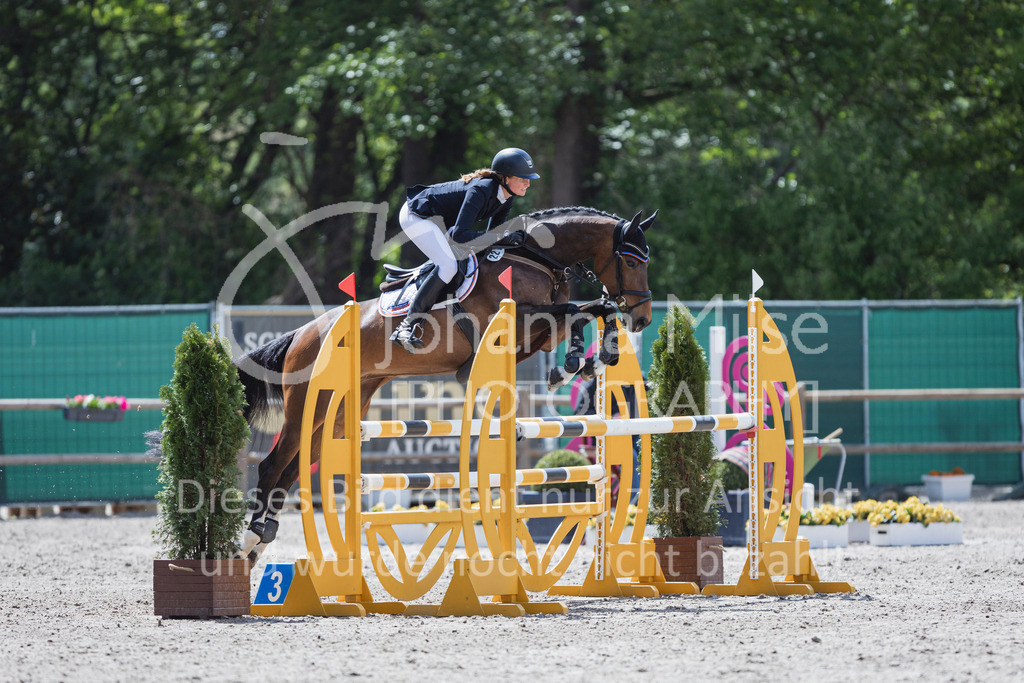 250506_Mühlen_SprPf-L1-346 | Deine schönsten Turniermomente als professionelle Fotos! Entdecke hochwertige Pferdesport-Fotografie im Online-Shop. Jetzt Fotos finden & bestellen!