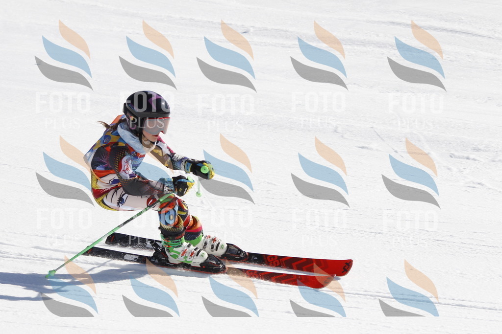 _U3G8787 | holidayphoto