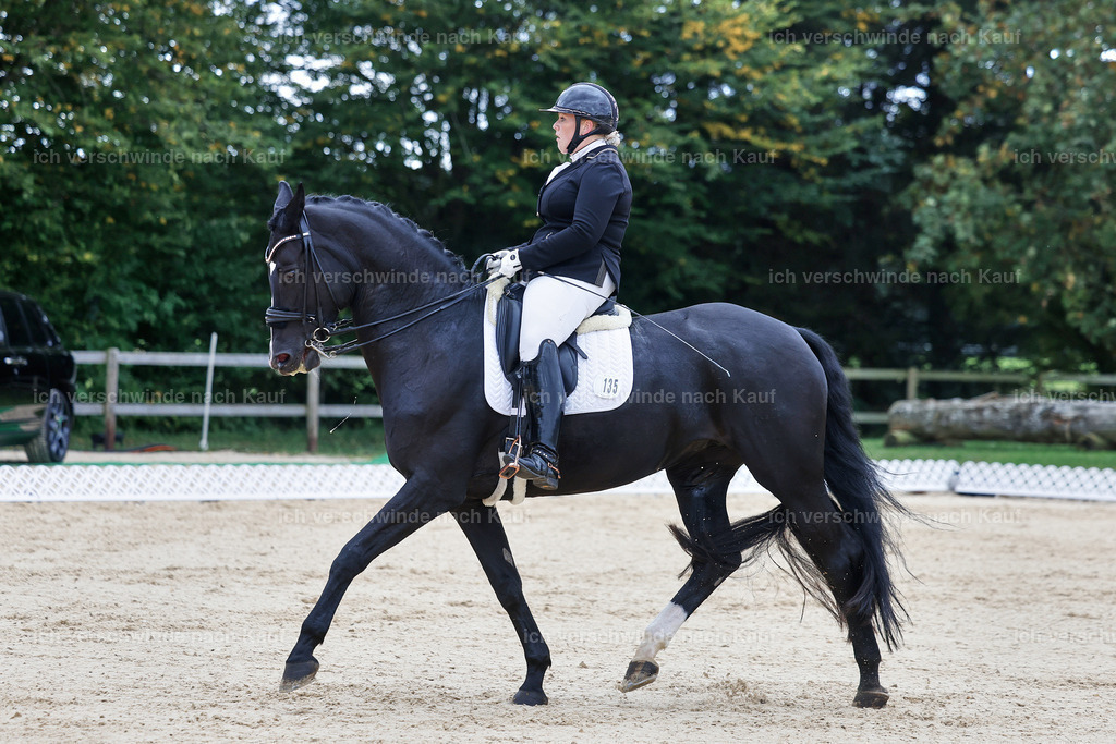 04_1-135-Dressur M__ -StoibPH-StoibPH-2674 | working equitationturnier fotograf videograf stoibphotography marixx film working equitation deutschland reitsport turnierfotografie eventfotografie equestrian events