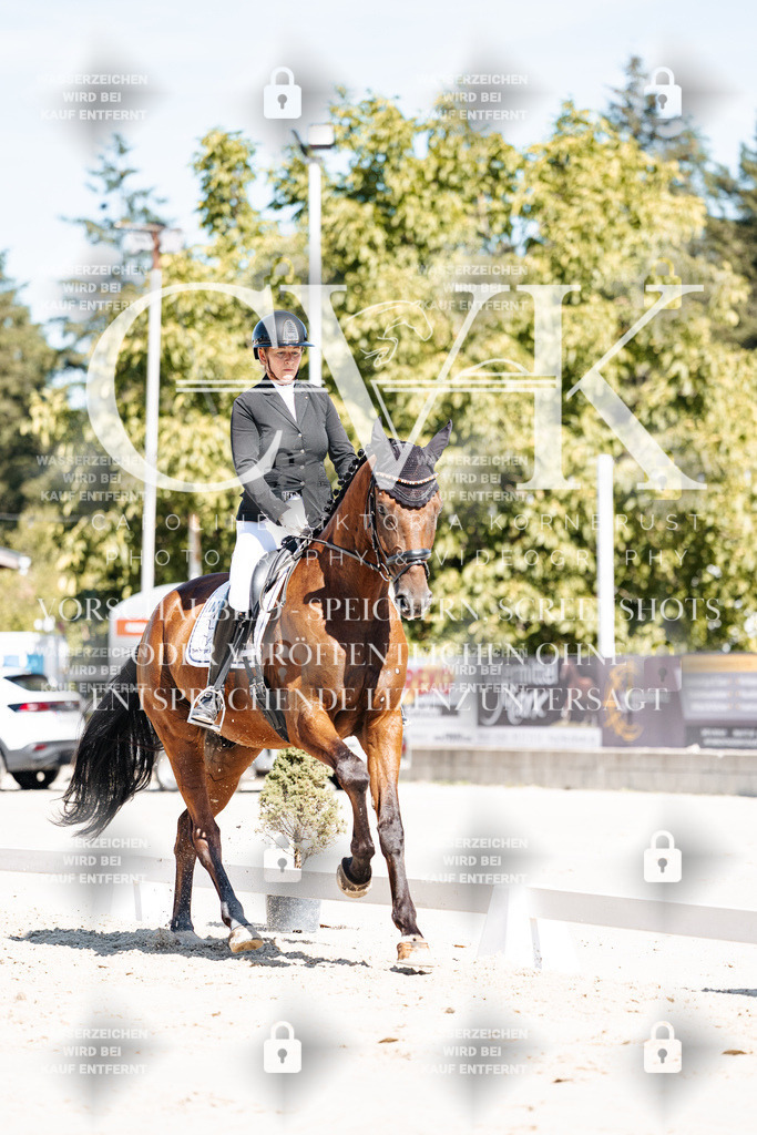 CK909206 | Turnierfotografie Pferdefotografie Trier Rheinland-Pfalz Pferdesport Reitsport Tierfotografie Sportfotografie Pferdevideo Pferdevideografie Equestrianvideography equestrianphotography  - Realisiert mit Pictrs.com