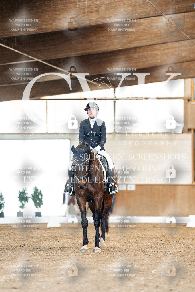 CK900920 | Turnierfotografie Pferdefotografie Trier Rheinland-Pfalz Pferdesport Reitsport Tierfotografie Sportfotografie Pferdevideo Pferdevideografie Equestrianvideography equestrianphotography  - Realized with Pictrs.com